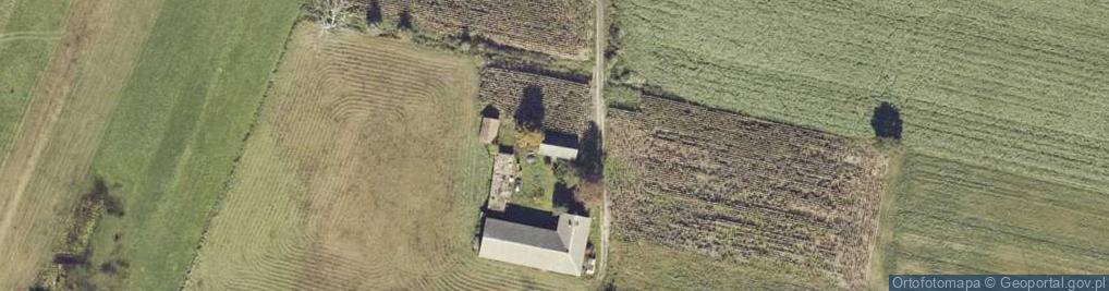 Zdjęcie satelitarne Kościelec-Kolonia ul.