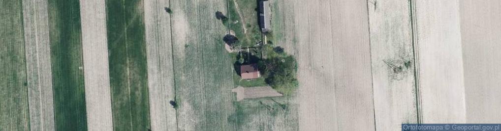 Zdjęcie satelitarne Kościeniewicze ul.