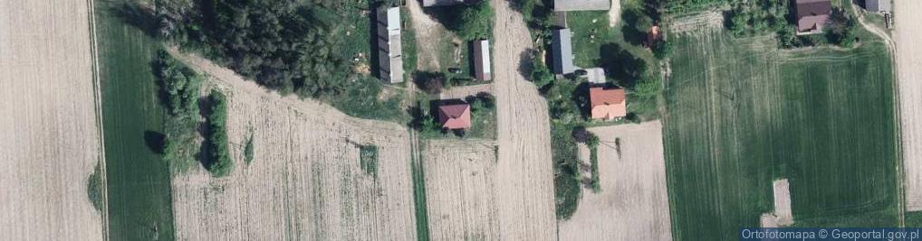 Zdjęcie satelitarne Kościeniewicze ul.