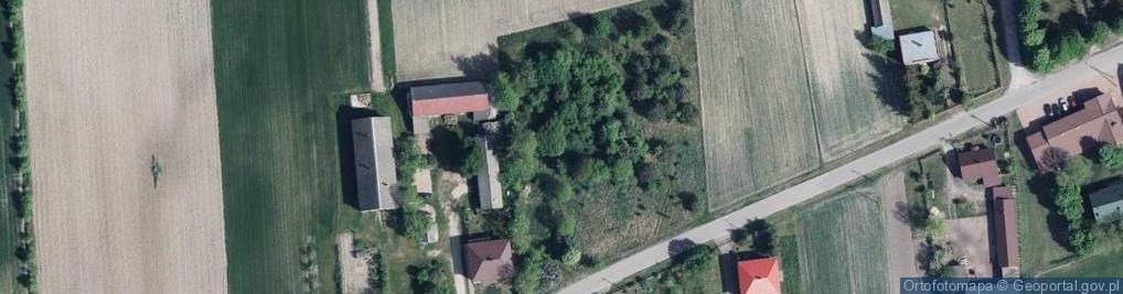 Zdjęcie satelitarne Kościeniewicze ul.