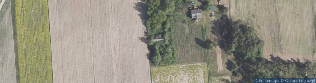 Zdjęcie satelitarne Kościeniewicze ul.