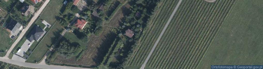 Zdjęcie satelitarne Kośmin ul.