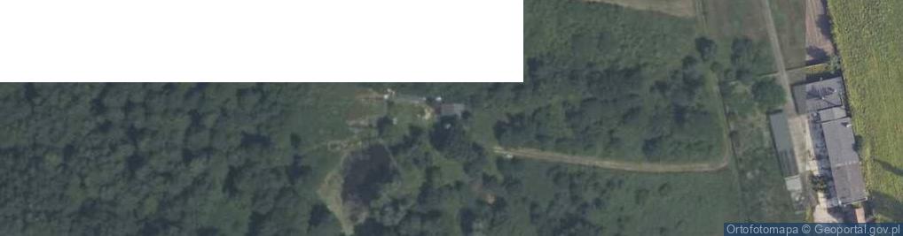 Zdjęcie satelitarne Kosów ul.