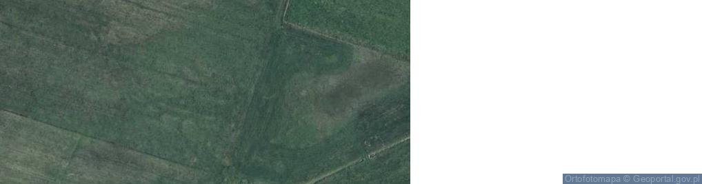 Zdjęcie satelitarne Koszoły ul.