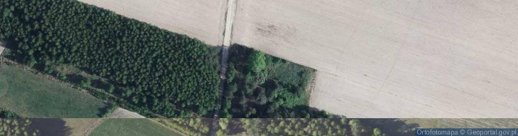 Zdjęcie satelitarne Koszoły ul.