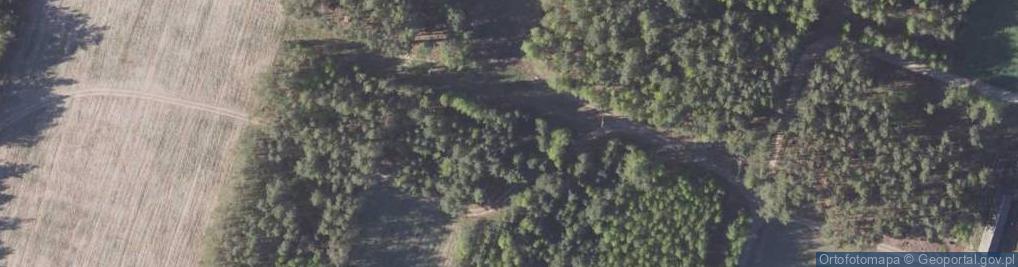 Zdjęcie satelitarne Koszoły ul.