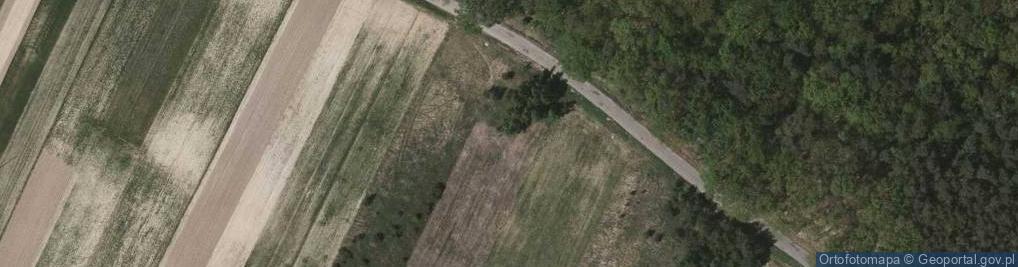 Zdjęcie satelitarne Kotowa Wola ul.