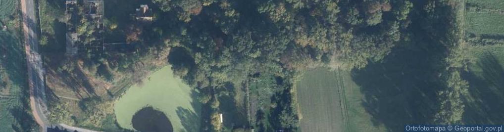 Zdjęcie satelitarne Kotowo ul.
