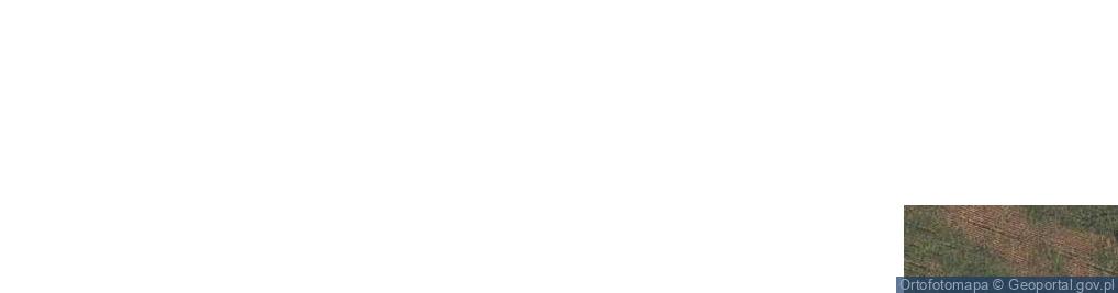 Zdjęcie satelitarne Kotowy ul.