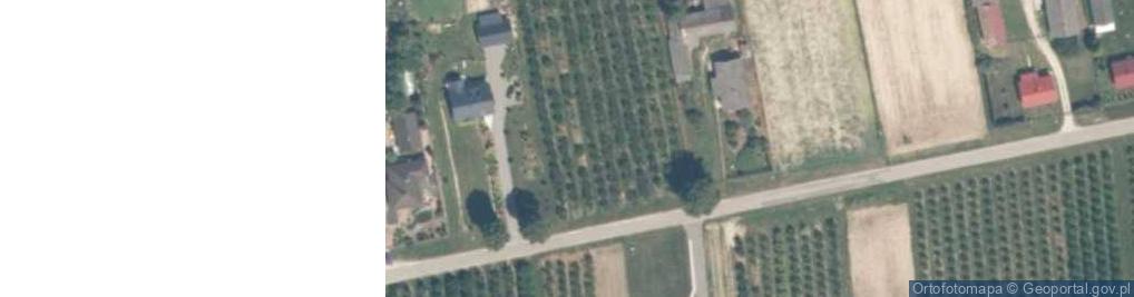 Zdjęcie satelitarne Kotuszów ul.