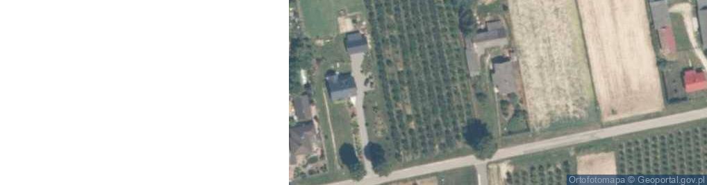 Zdjęcie satelitarne Kotuszów ul.