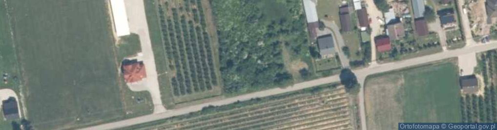 Zdjęcie satelitarne Kotuszów ul.
