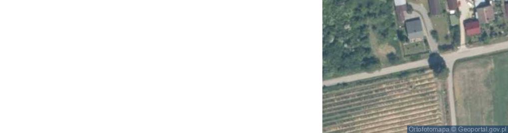 Zdjęcie satelitarne Kotuszów ul.