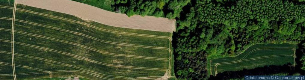 Zdjęcie satelitarne Kowali ul.