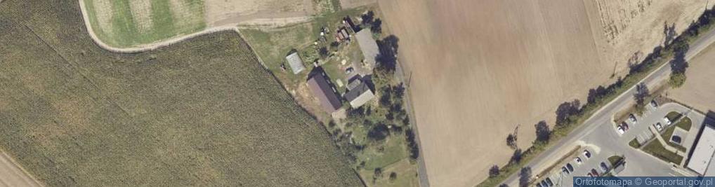 Zdjęcie satelitarne Kowalewiec ul.