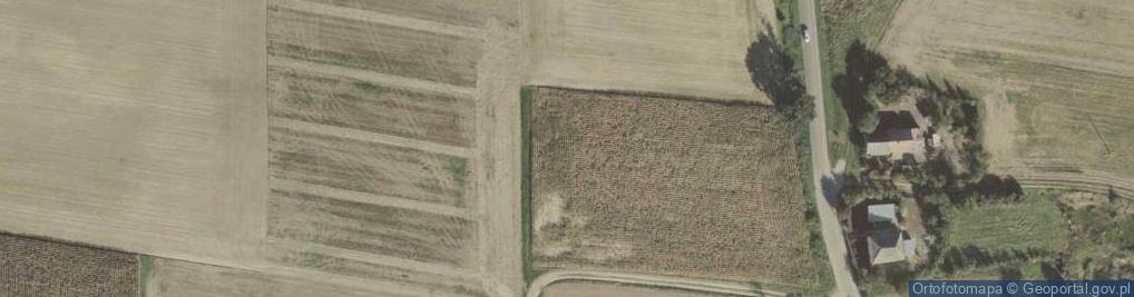 Zdjęcie satelitarne Kowalów ul.