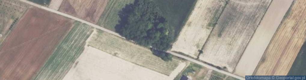 Zdjęcie satelitarne Kowary ul.