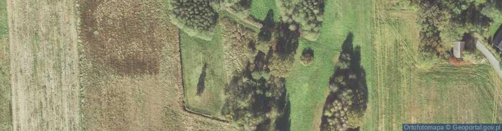 Zdjęcie satelitarne Kozuby ul.