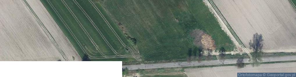 Zdjęcie satelitarne Kozłowska ul.