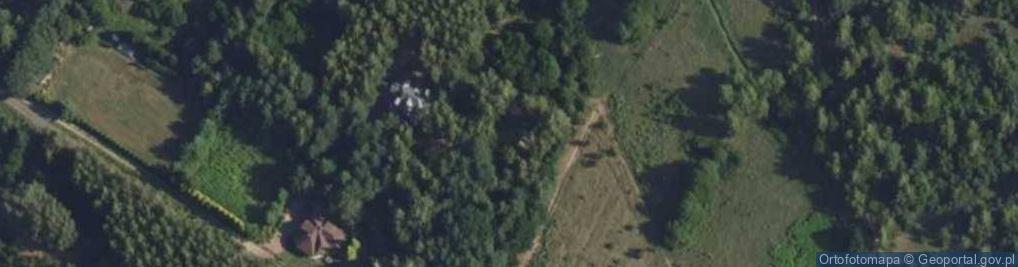 Zdjęcie satelitarne Kosodrzewiny ul.