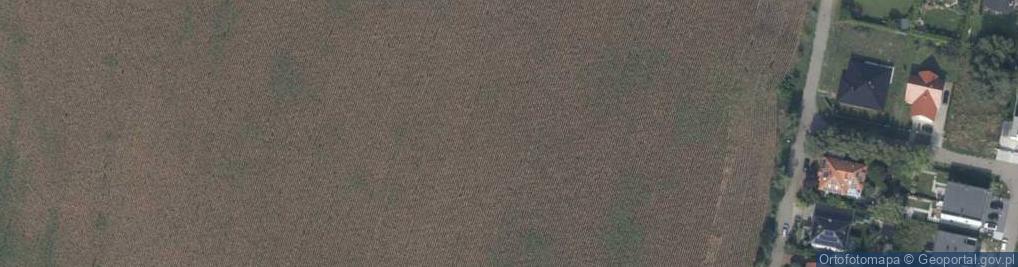 Zdjęcie satelitarne Kormorana ul.