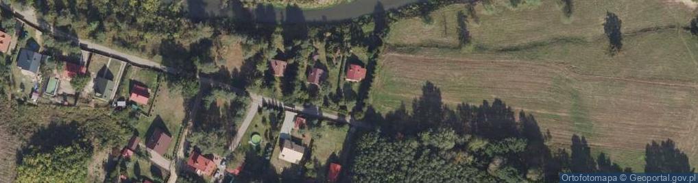 Zdjęcie satelitarne Koguty ul.