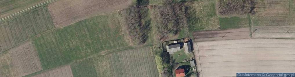 Zdjęcie satelitarne Kopernika Mikołaja ul.