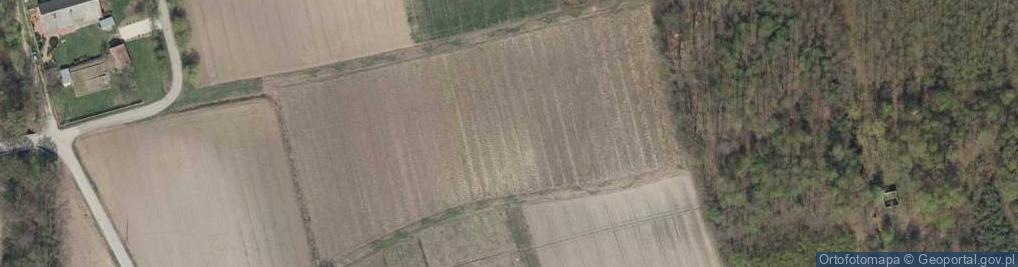 Zdjęcie satelitarne Kopernika Mikołaja ul.