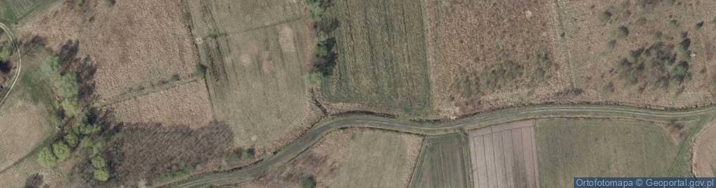 Zdjęcie satelitarne Kopernika Mikołaja ul.