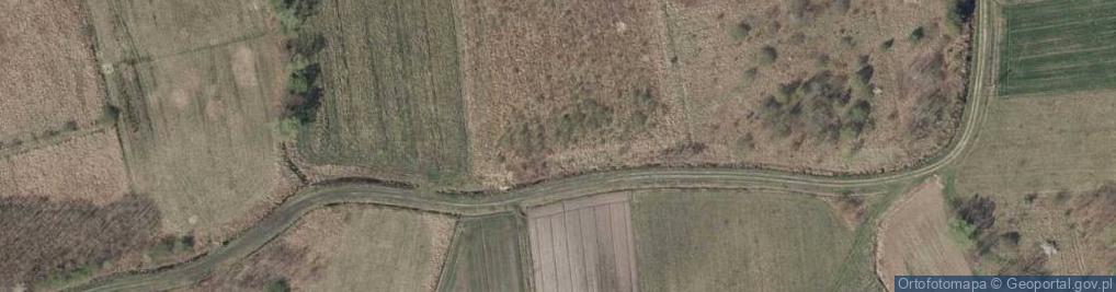 Zdjęcie satelitarne Kopernika Mikołaja ul.