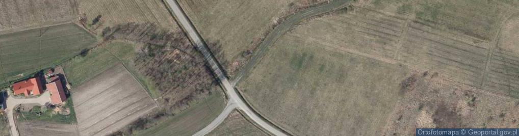 Zdjęcie satelitarne Kopernika Mikołaja ul.