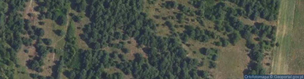 Zdjęcie satelitarne Kosa ul.