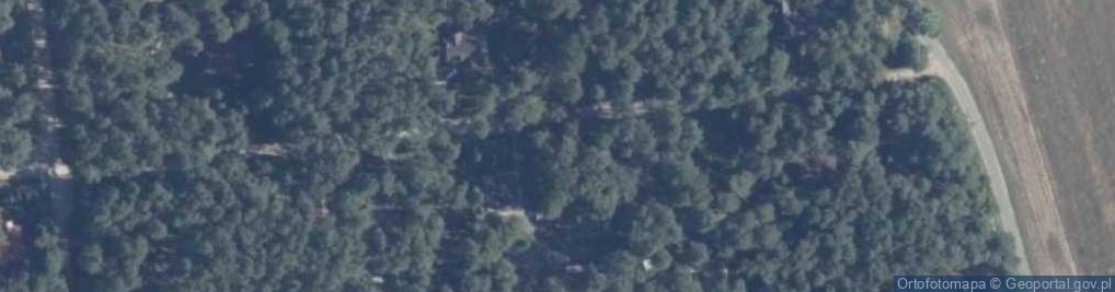 Zdjęcie satelitarne Kopernika Mikołaja ul.