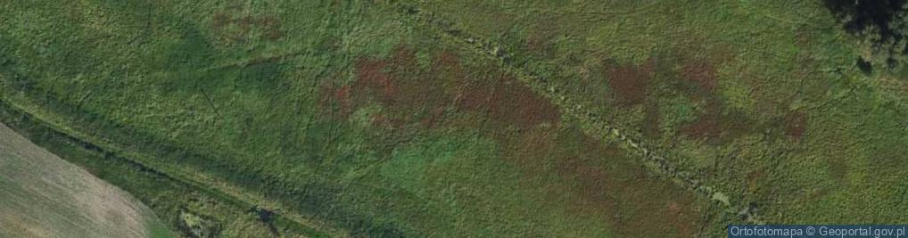 Zdjęcie satelitarne Kochanki ul.