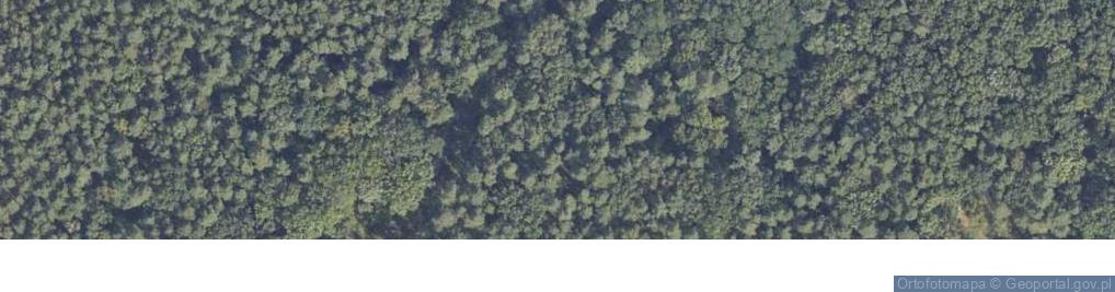 Zdjęcie satelitarne Kociewska ul.