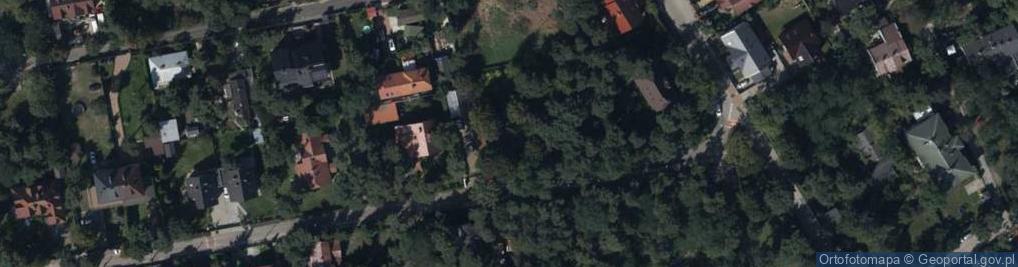 Zdjęcie satelitarne Kosodrzewiny ul.