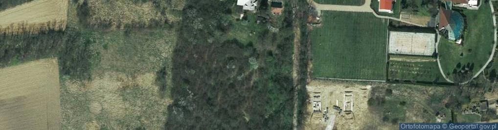 Zdjęcie satelitarne Kowalska ul.