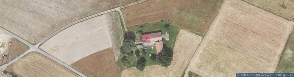 Zdjęcie satelitarne Kopernika Mikołaja ul.