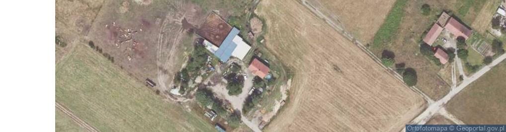 Zdjęcie satelitarne Kopernika Mikołaja ul.