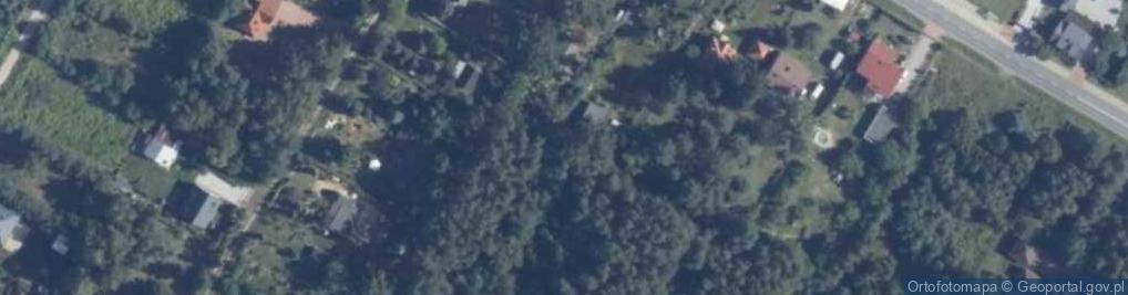 Zdjęcie satelitarne Krzywa ul.