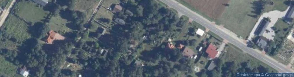 Zdjęcie satelitarne Krzywa ul.