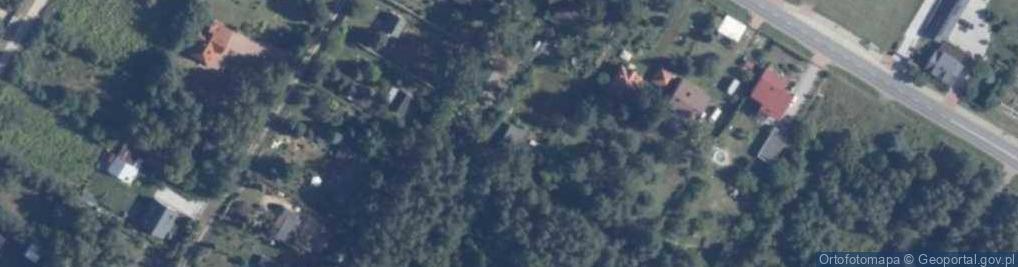 Zdjęcie satelitarne Krzywa ul.