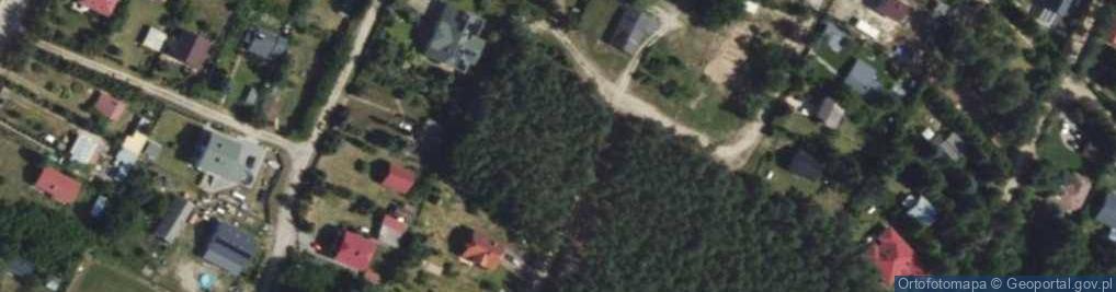 Zdjęcie satelitarne Krzywa ul.