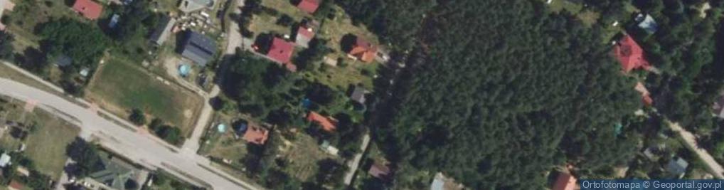 Zdjęcie satelitarne Krzywa ul.
