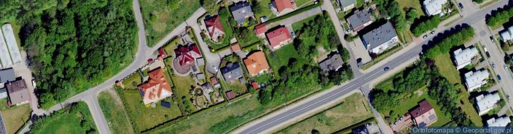 Zdjęcie satelitarne Krzywa ul.