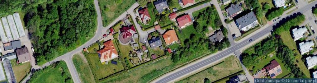 Zdjęcie satelitarne Krzywa ul.