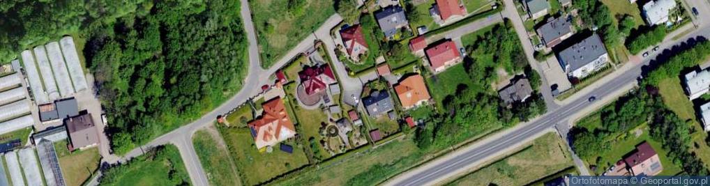 Zdjęcie satelitarne Krzywa ul.