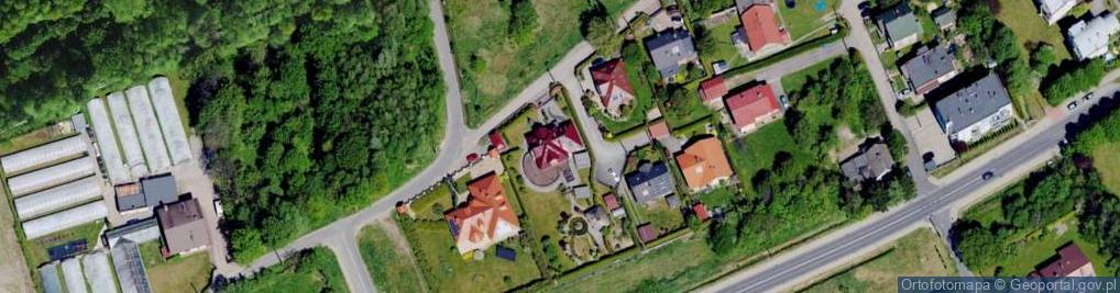 Zdjęcie satelitarne Krzywa ul.