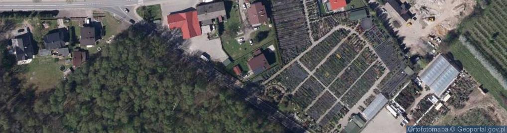 Zdjęcie satelitarne Krzemionki ul.