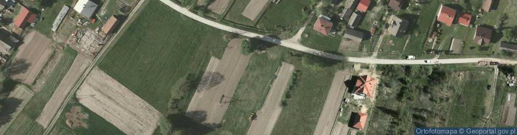 Zdjęcie satelitarne Krzywa ul.